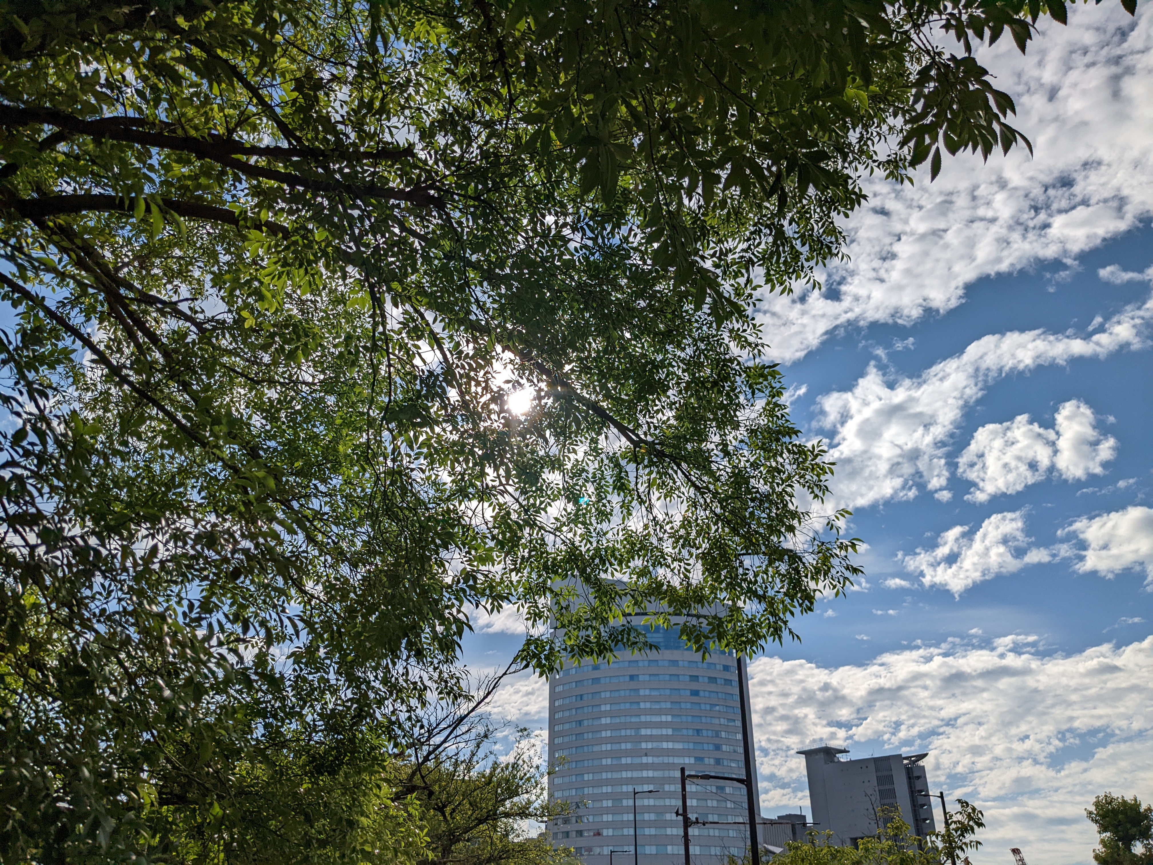 木漏れ日が漏れるような場面でも、HDR処理でクリアな写真が撮影できている