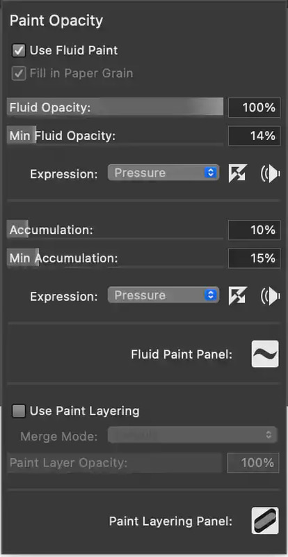 流体ペイントの設定