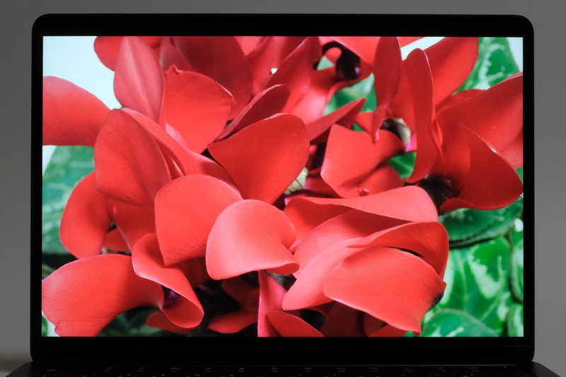 環境光センサーにより周囲の光に合わせて輝度や色を調整する「True Toneテクノロジー」を搭載。異なる環境でも見え方を統一してくれる