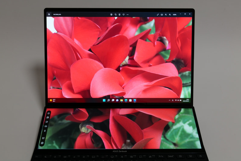 このような強めの色では発色の差が気にならなくなる