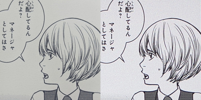 画質の比較。左が本製品(ノーマルモード)、右がiPad Air。多少シャープさには欠けるが表現力自体は問題ない