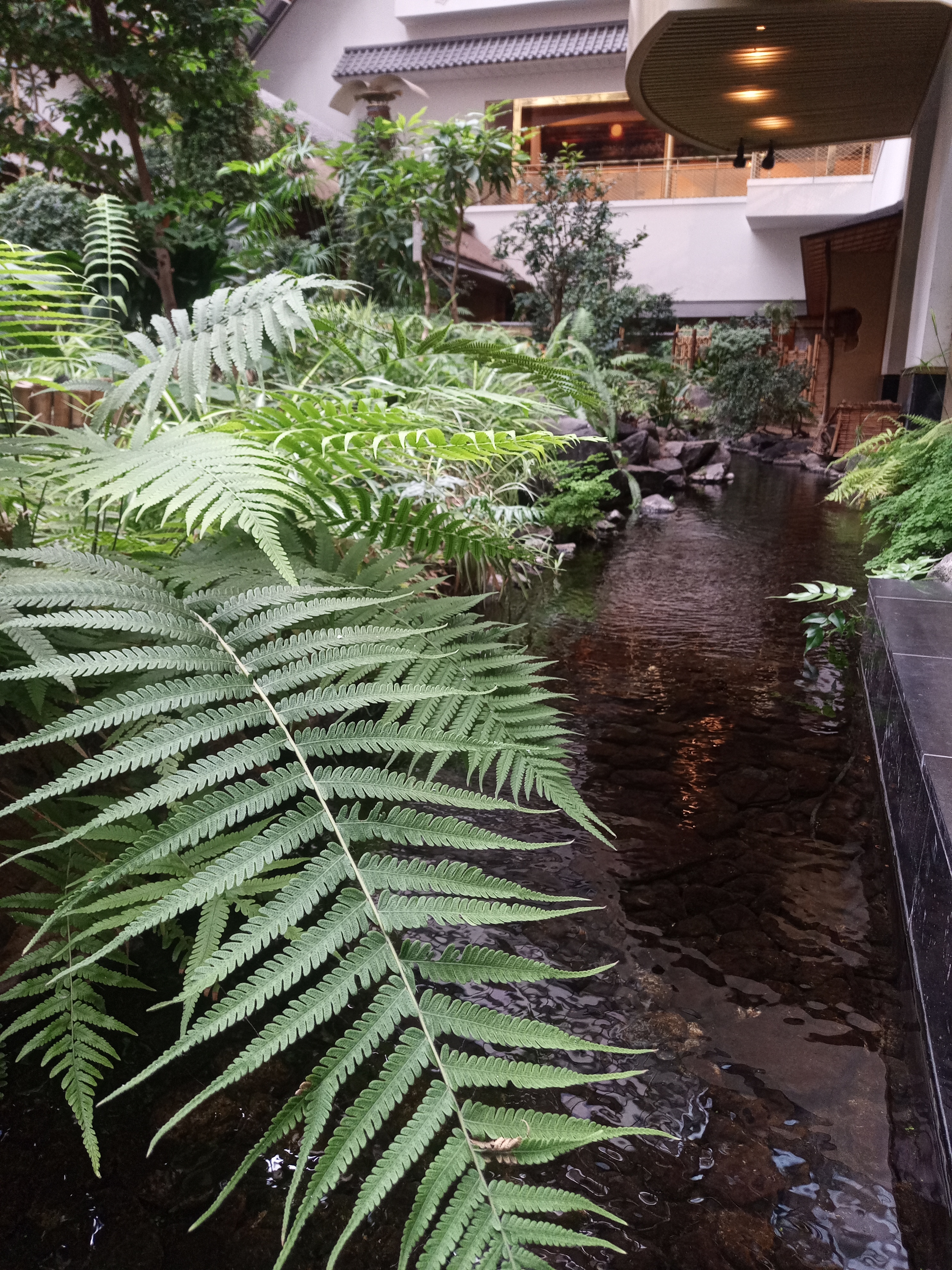 作例。写真は曇りの日で、なおかつこれは屋内なのでやや厳しい条件だが、結果は悪くない