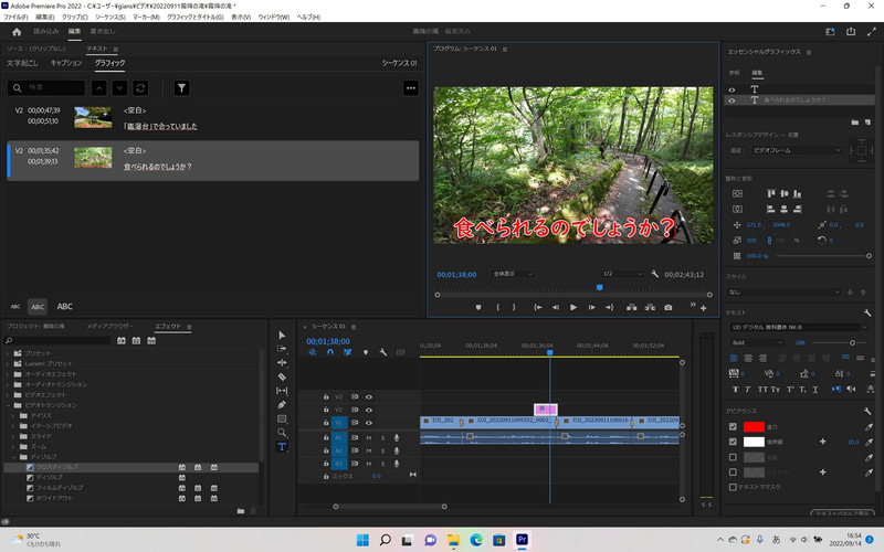 「再生ヘッド」をテロップの上にスライドさせると、プログラムパネルのプレビューにテロップが表示される。テロップをマウスカーソルでクリックしてから、テキストを書き換えよう。あとはこれを繰り返すことで、ほかの箇所にもテロップを追加できるわけだ