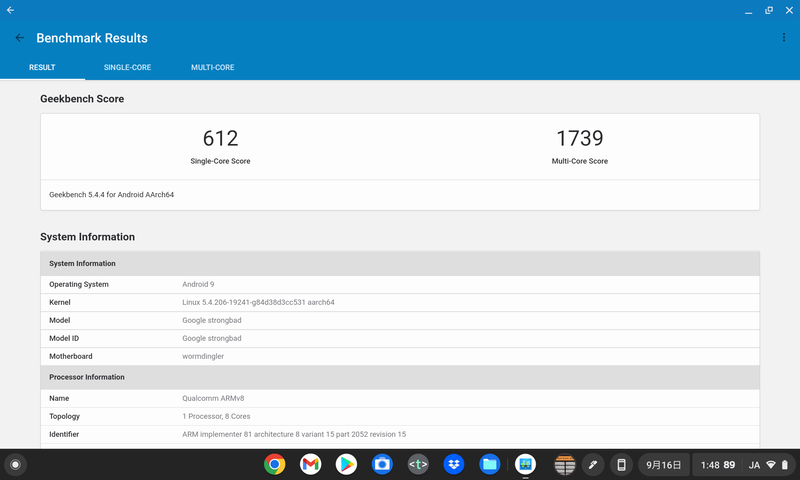 GeekBench 5(Androidアプリ)の測定結果