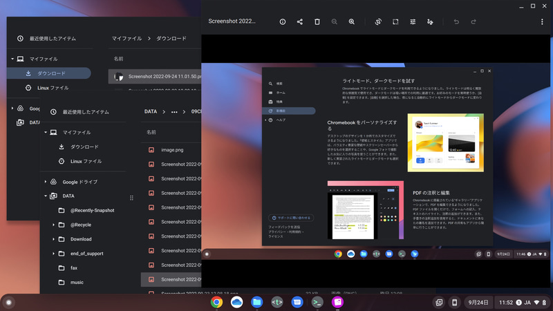 ファイルアプリでNAS(SMB)もマウント可能。画像などを簡単に表示/編集できるギャラリーアプリもある