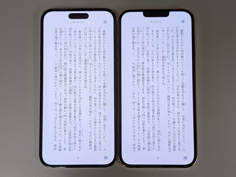 左が本製品、右がiPhone 13 Pro Max。まったく同じに見えるが、右のほうが1行の文字数が1文字多い場合があるなど、本製品のほうがわずかに天地が圧縮されている