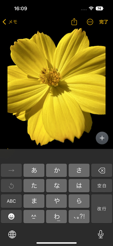 切り抜いた写真をペースト