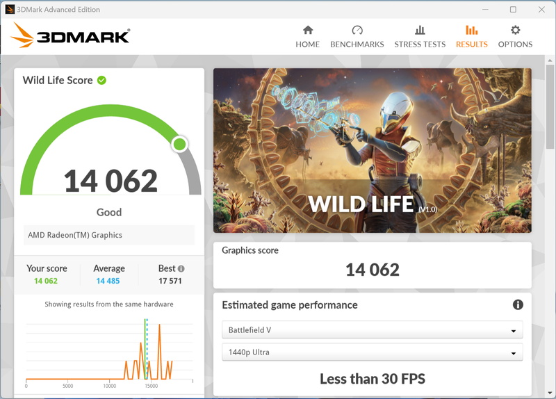 3DMark Wild Lifeの結果
