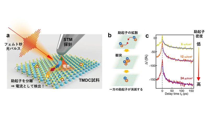 研究に用いた実験手法の模式図(a)、励起子―励起子消滅過程の模式図(b)