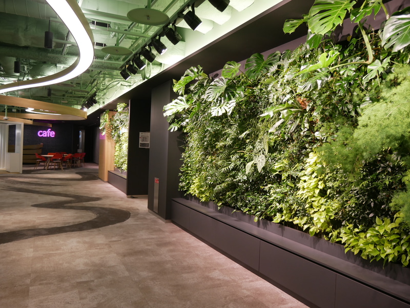30階のゲストフロアの様子。グリーンウォールには本物の草木を使用している