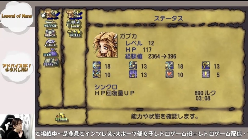 ステータスのページは細かくて、RPGに慣れていない私には理解が難しかった……