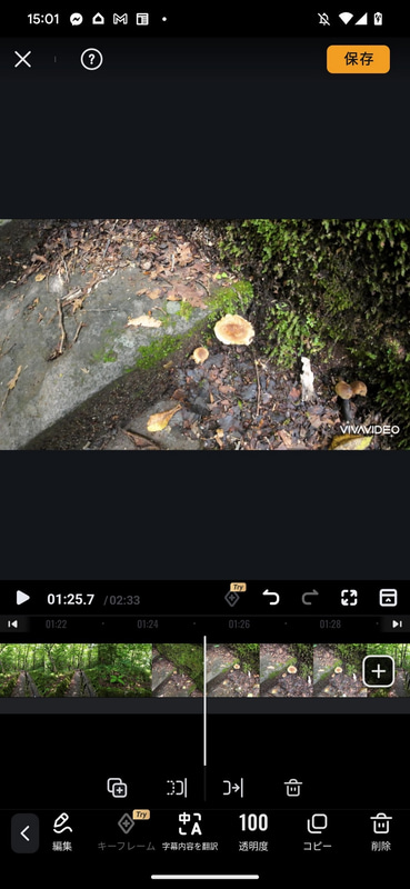 次にテキストを入れたい箇所に移動したら「コピー」アイコンを押す