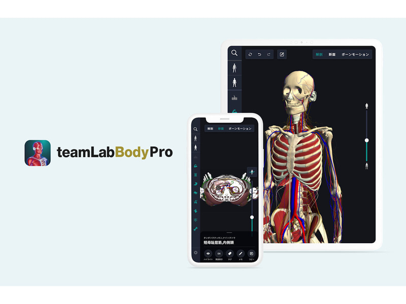 teamLabBody Pro