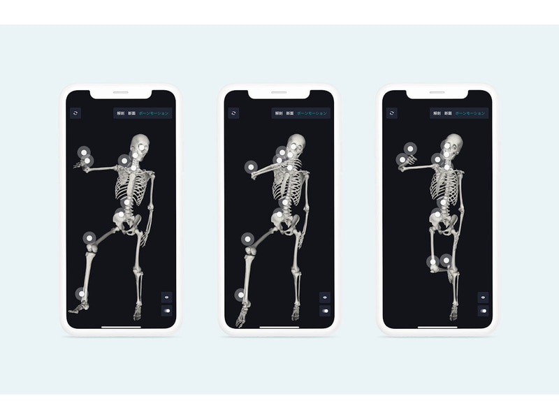 ボーンモーション機能