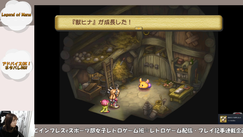 見た目も可愛い～( *´艸｀)