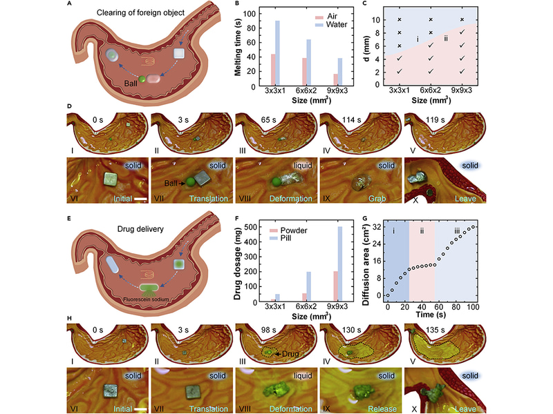 体内で異物を除去したり投薬したりできる