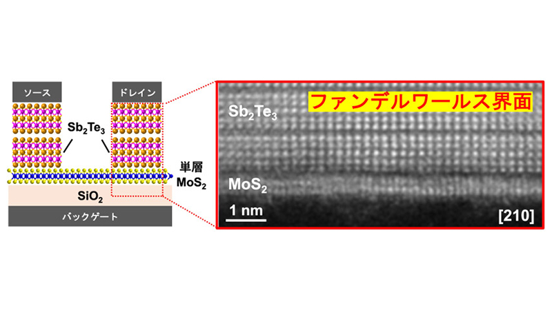 (左)トランジスタの模式図、(右)Sb2Te3/MoS2界面を拡大した断面電子顕微鏡画像