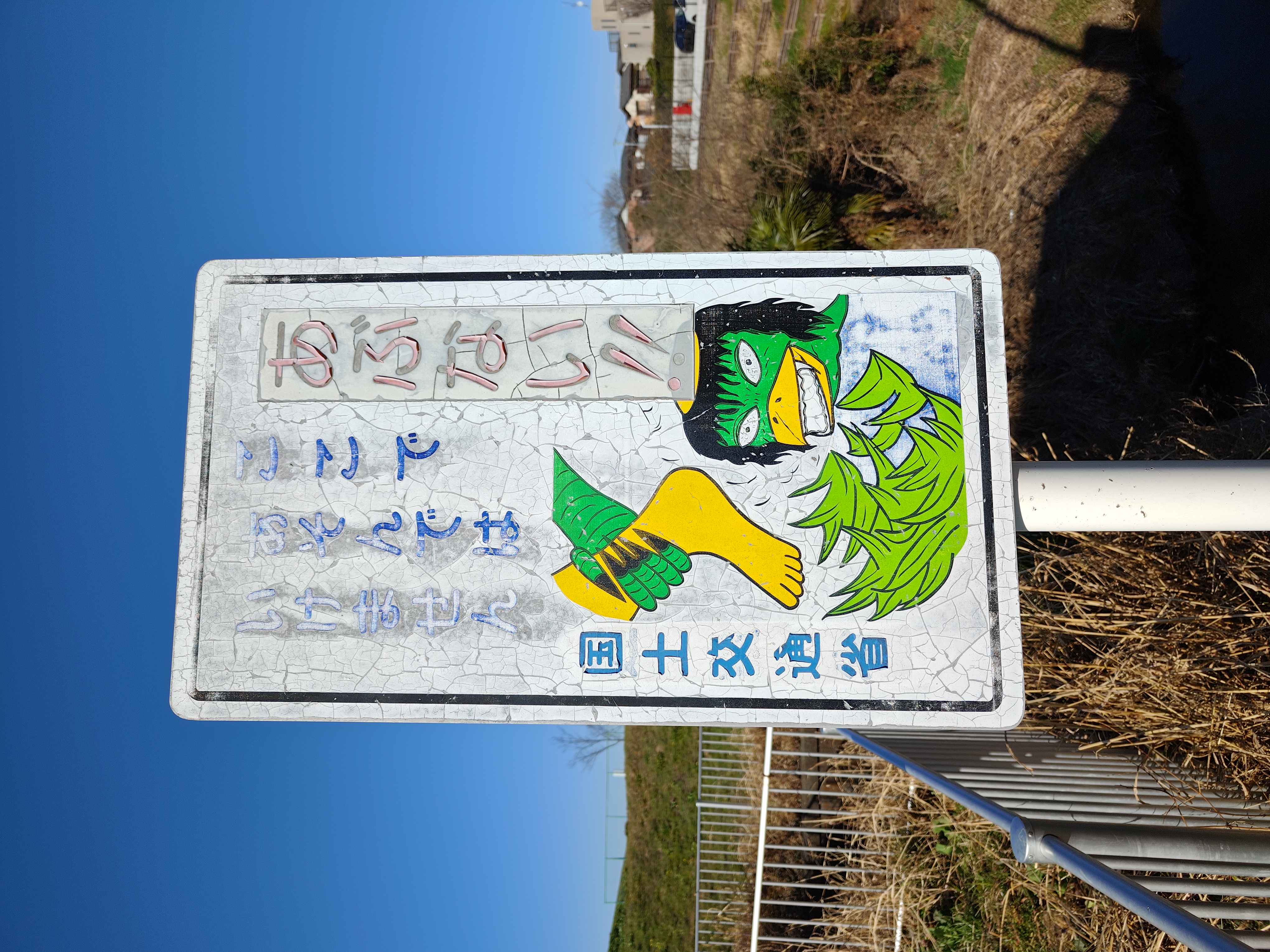 メインカメラの撮影例