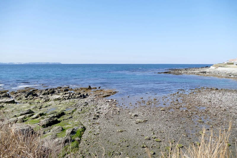 店のすぐ横は海で、特に土日は賑わって満席になるとのこと