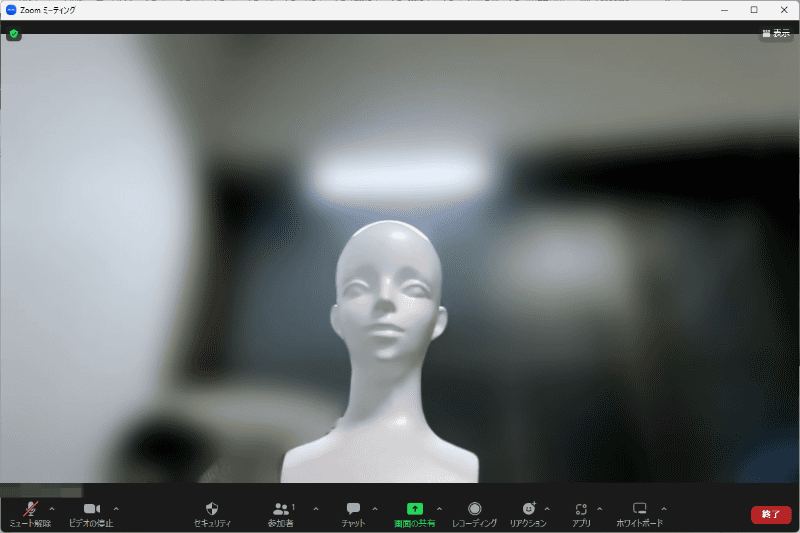 zoomでの表示。これは元の「GoPro Webcam」の映像