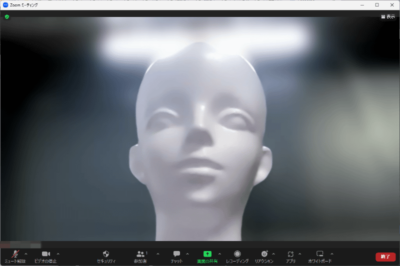 「OBS Virtual Camera」の映像。元映像の上下左右が切り落とされ、より狭角になっていることが分かる