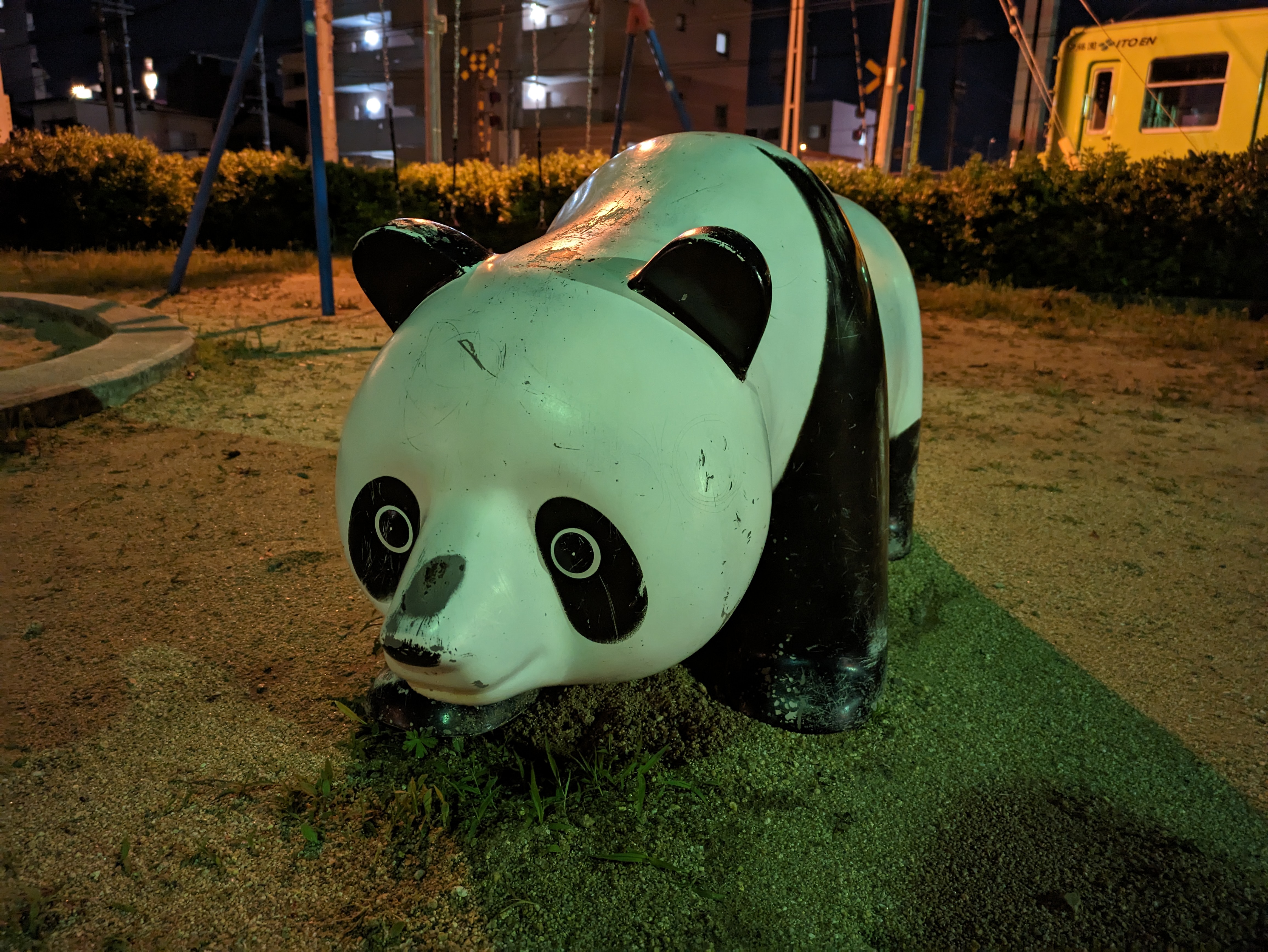 Pixel 7aで撮影。撮影時間は約2秒と短いが、明るく鮮やかに撮影できている