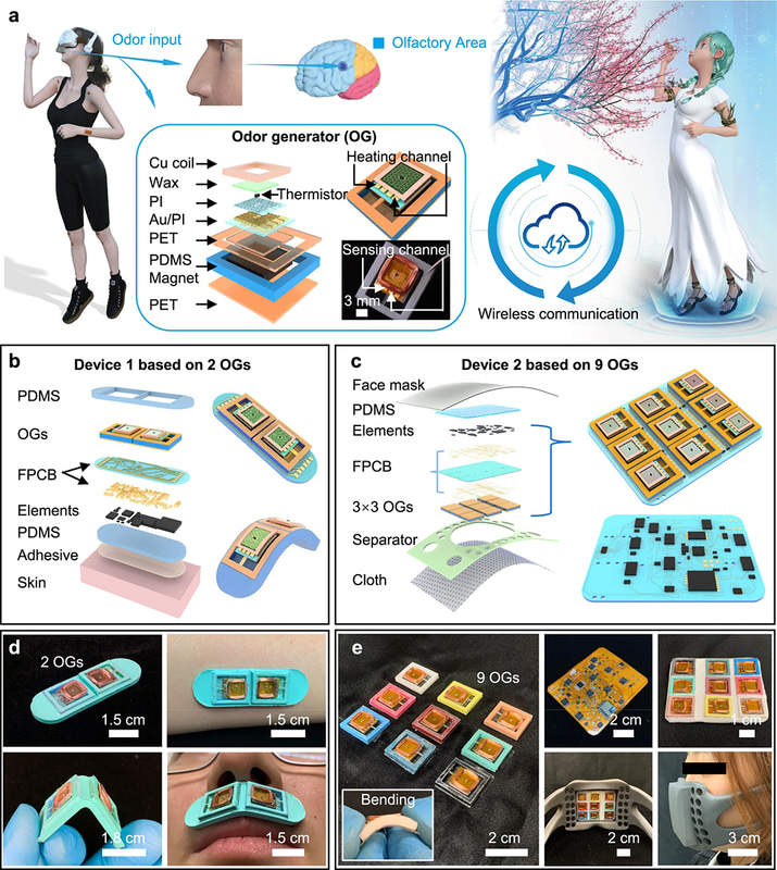 研究チームが開発したデバイス