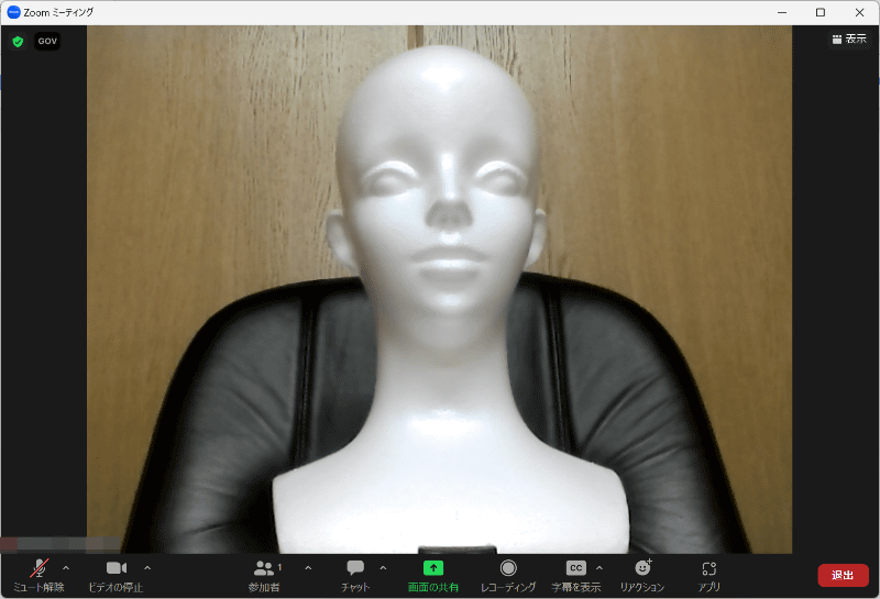 視野角63度のWebカメラ(バッファローBSWHD06MBK)であれば、いわゆるバストアップの範囲が映る