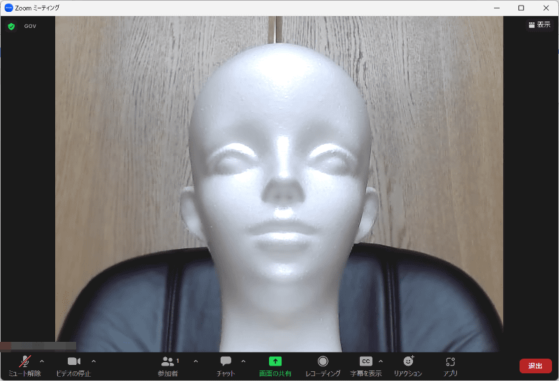 本製品はほぼ顔しか映らないため、そのぶん映り込む背景も最小限の範囲で済ませられる