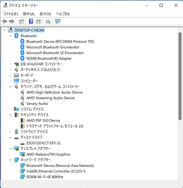デバイスマネージャ/主要なデバイス。ストレージはM.2 2280 PCIe4.0 SSD 512GBの「ESO512GYLCT-EP3-2L」。2.5GbEはIntel Ethernet Controller I225-V、Wi-FiはRZ608 Wi-Fi 6E、BluetoothもRZ608
