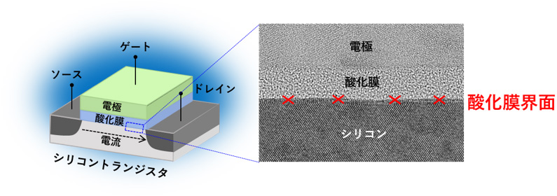 トランジスタの模式図とシリコン-酸化膜界面の電子顕微鏡写真