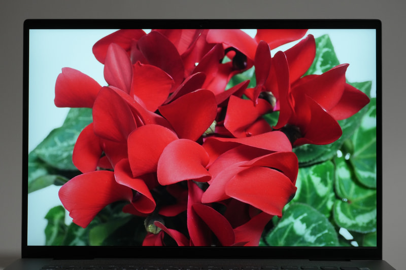 デルのディスプレイの「WVA」は「Wide-Viewing Angle」の略で、広視野角であることを指す。モニター名としては「LGD075C」と表示された