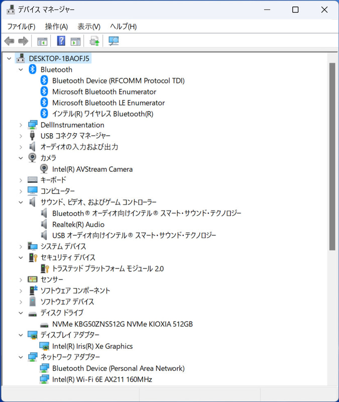 デバイスマネージャ/主要なデバイス