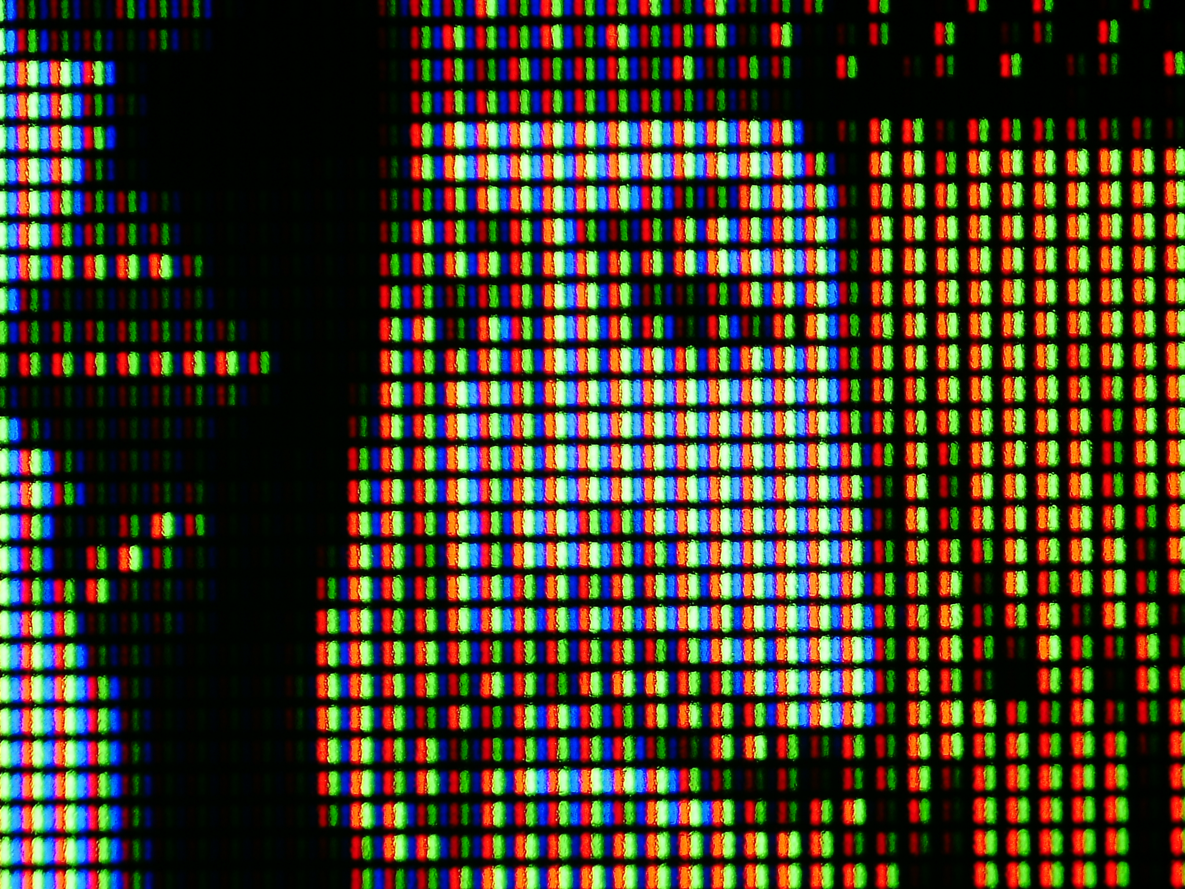 光学30倍の顕微鏡写真