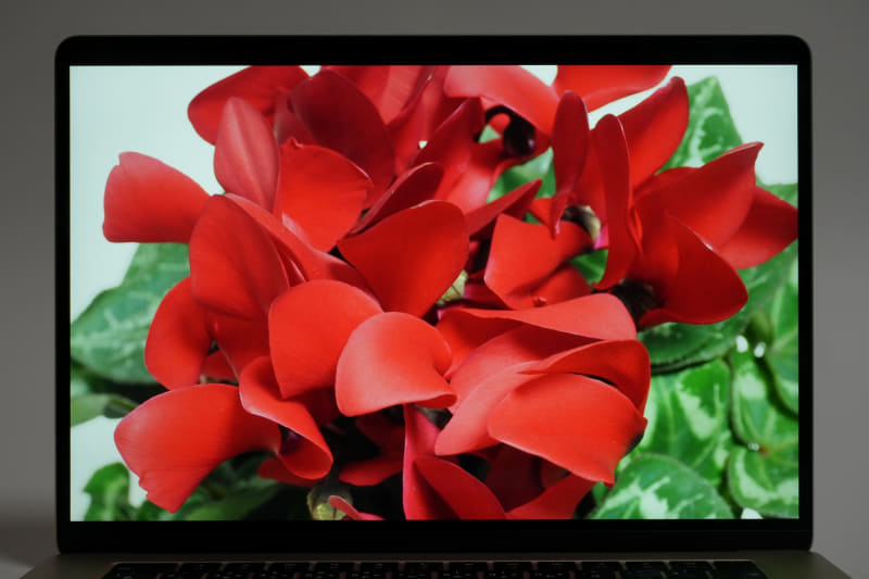 15.3型IPS液晶は、輝度自動調節、発色自動調節「True Tone」対応。環境に応じて明るさや発色が自動調節される