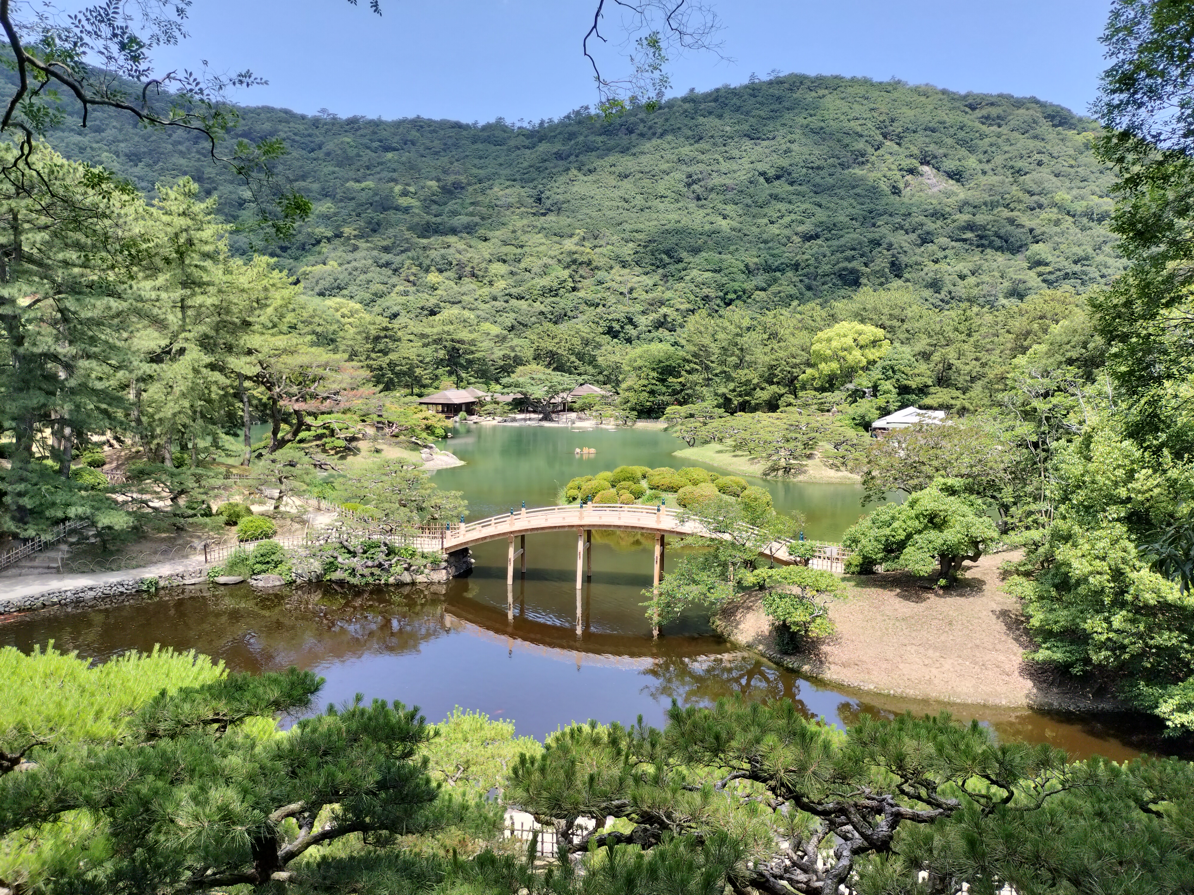 広角 標準解像度