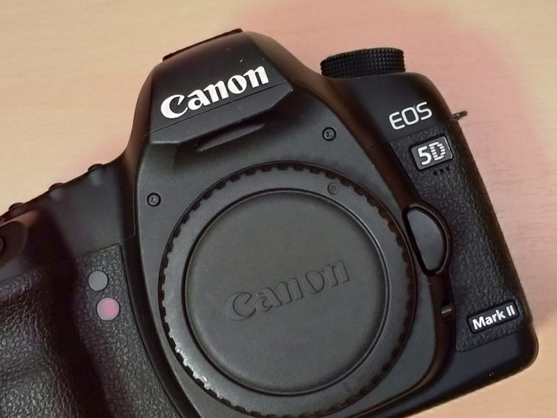 1枚目の代表カットの例。大胆にトリミングした構図もありだろう