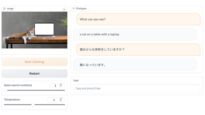 画像対話モデルの出力例(画像対話モデルがユーザー入力、白がモデル出力)