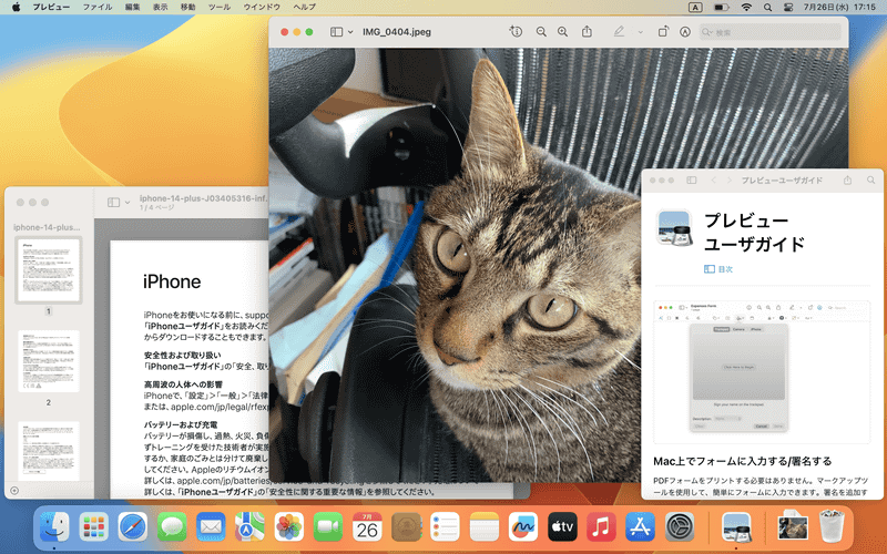 「プレビュー」で画像やPDFを開くとウィンドウ上部にツールバーが表示され、拡大や縮小、回転、共有、テキストのハイライトなどを利用できます。「プレビュー」をあまり使ったことがない人は、まずはこれらの機能から試してみるとよいでしょう