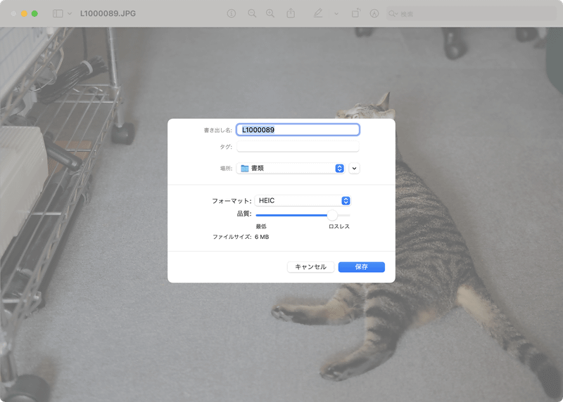 [ファイル]メニューの[書き出し]を選択して表示される画面で、[フォーマット]をクリックして目的の形式を選択しましょう。フォーマットによっては品質や階調、圧縮なども指定できます
