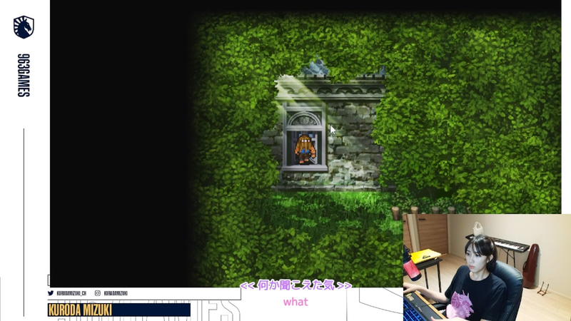 窓からお家に不法侵入