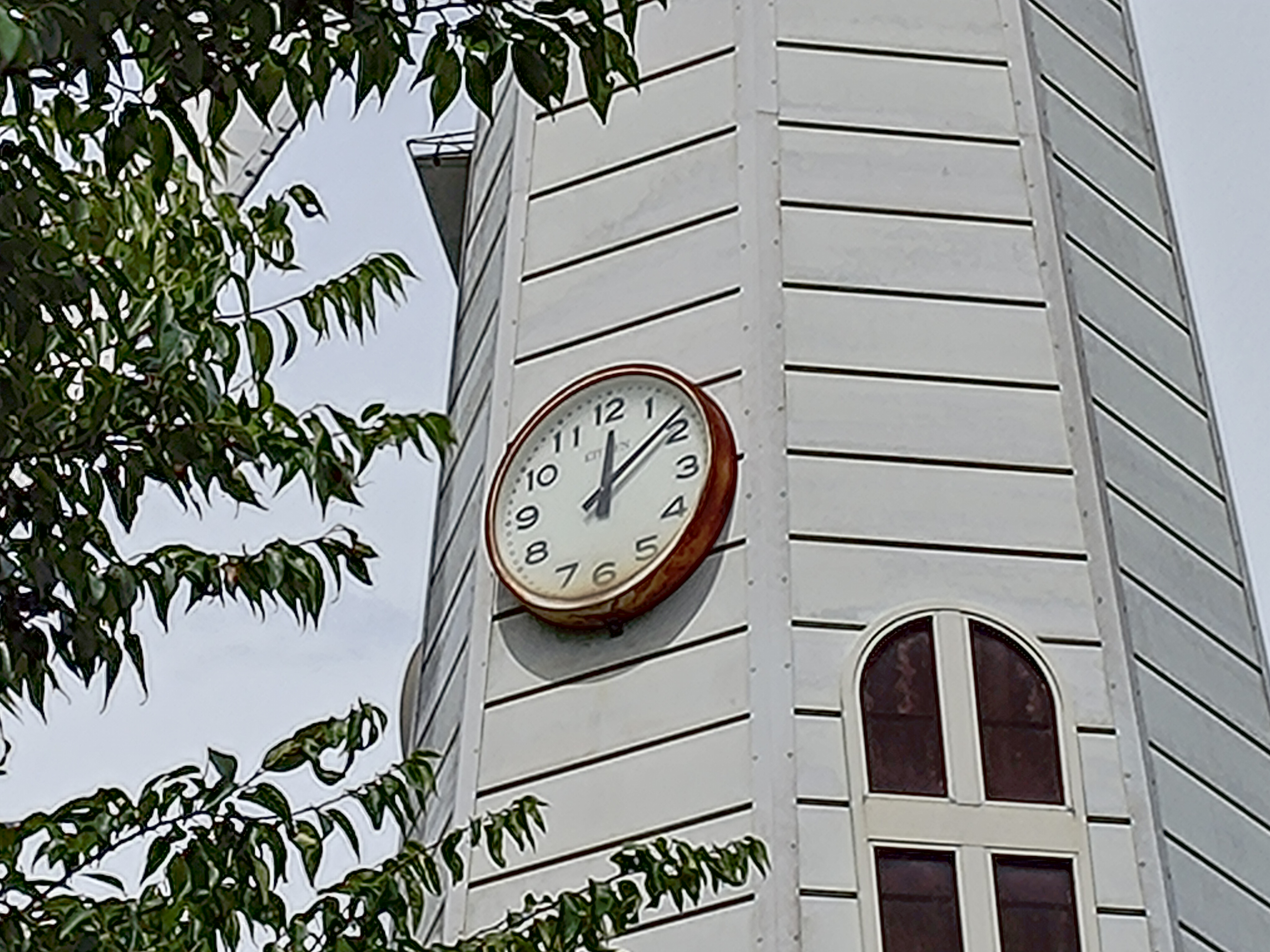 Zenfone 9で撮影(広角カメラ、8倍デジタルズーム)