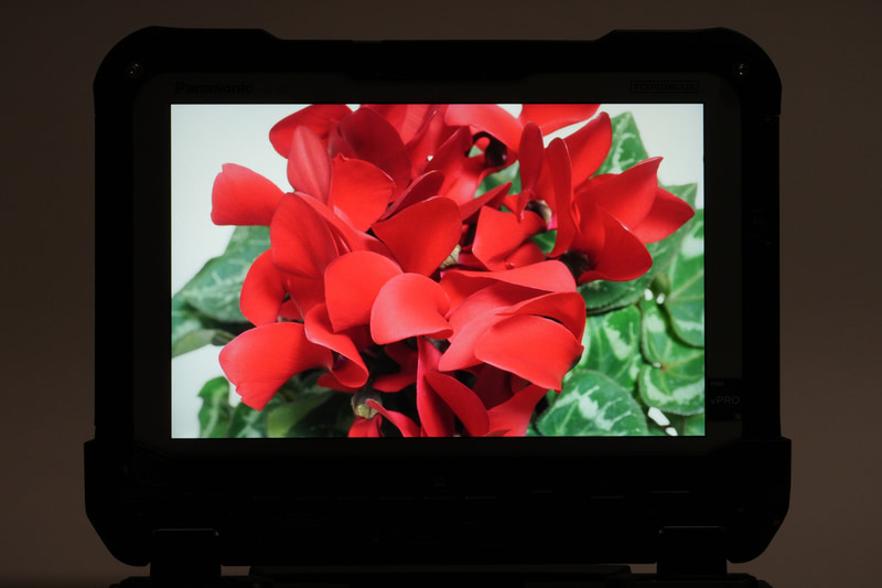 10.1型WUXGA液晶(1,920×1,200ドット)の最大輝度は1,000cd/平方m。色域は非公表