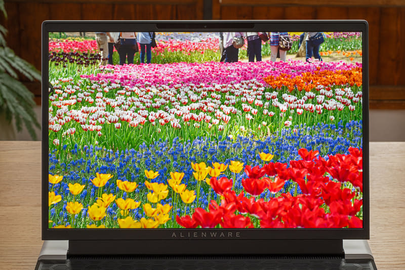 DCI-P3を100%カバーする広色域に対応