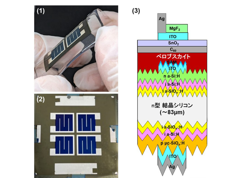 (1)はフレキシブルなペロブスカイト/シリコンタンデム太陽電池の様子。(2)はタンデム太陽電池の外観。(3)はタンデム太陽電池の概念