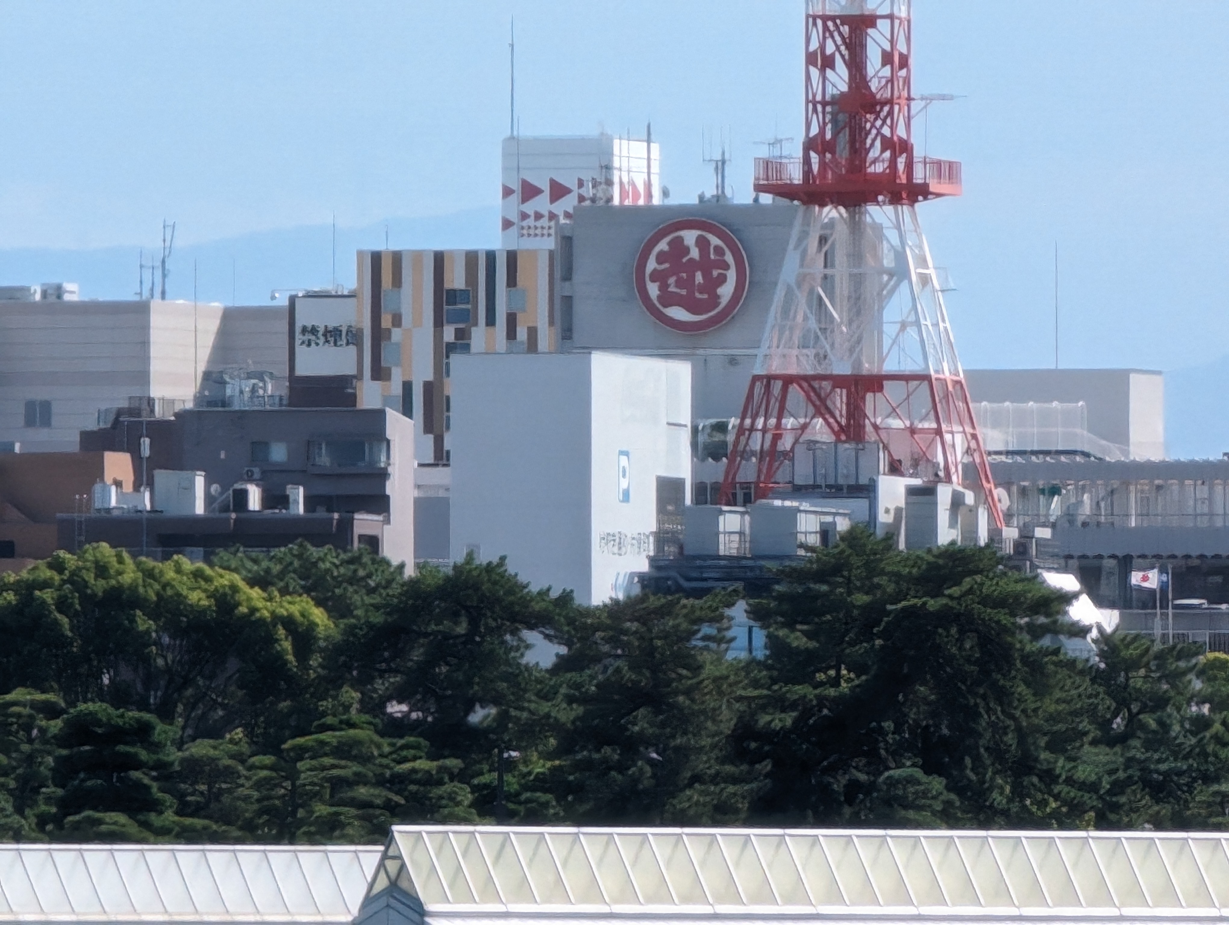 こちらはPixel 8 Proの30倍ズームで撮影