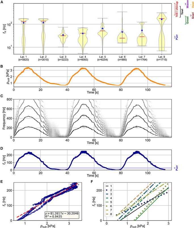 8匹家猫から得られたデータ