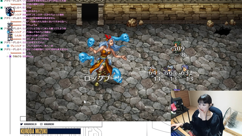 ロックブーケと戦闘に