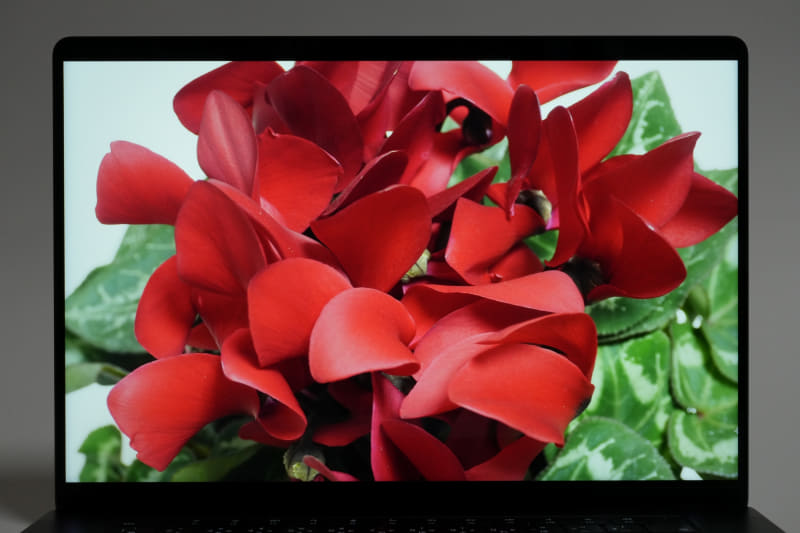 XDR(Extreme Dynamic Range)と名付けられたディスプレイは、XDR輝度1,000cd/平方mの持続輝度(フルスクリーン)、1,600cd/平方mのピーク輝度(HDRコンテンツのみ)、SDR輝度500cd/平方m、コントラスト比が100万:1、色域がP3。またTrue Toneテクノロジーにより環境光に合わせて発色を調整してくれる