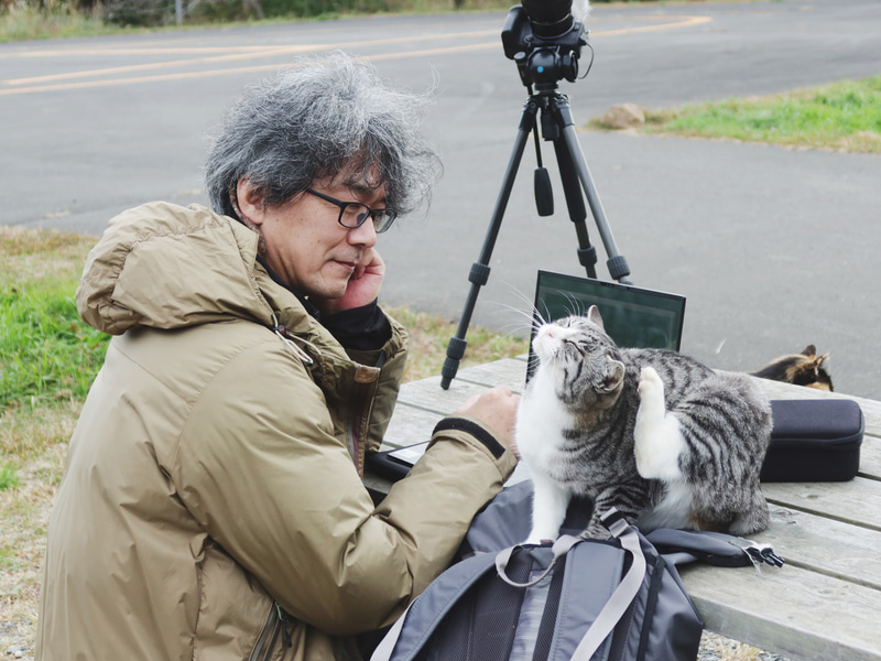 猫がたくさんいる離島に訪れたという大下氏。Zenbook Pro 14 OLED UX6404VIを持ち運んで撮影写真や動画のチェックに活用した